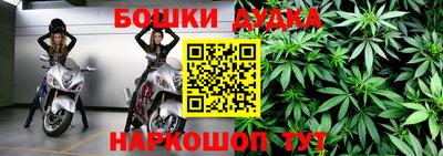 индика Балахна