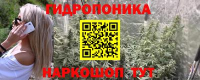 2c-b Бийск