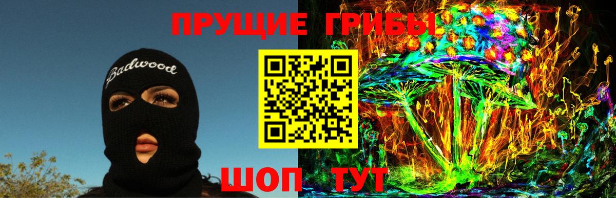 Будённовск  Галлюциногенные грибы MAGIC MUSHROOMS  Вход с VPN 