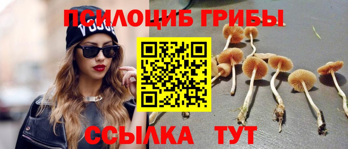 Галлюциногенные грибы Psilocybine cubensis Будённовск