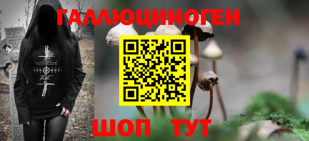 Псилоцибиновые грибы Psilocybine cubensis Будённовск