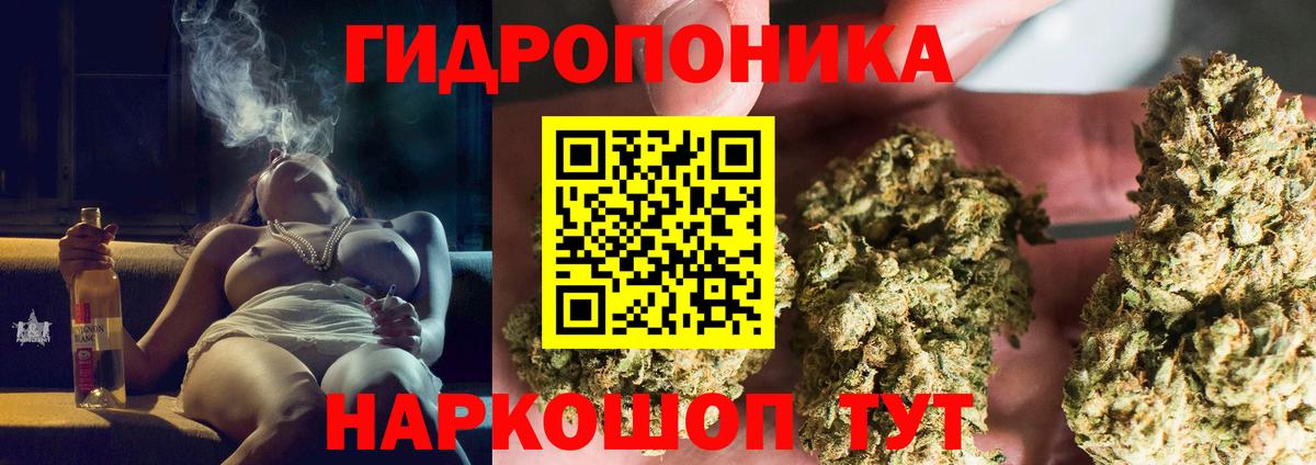 МАРИХУАНА Bruce Banner  Шишки марихуана AK-47  МАРИХУАНА OG Kush  Будённовск 